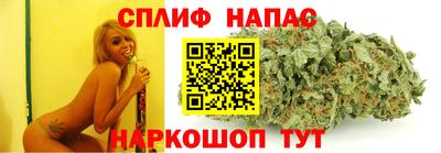 гидра Краснокаменск